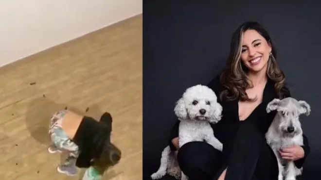 Video: Mujer influencer denunciada por golpear a dos perros bebés