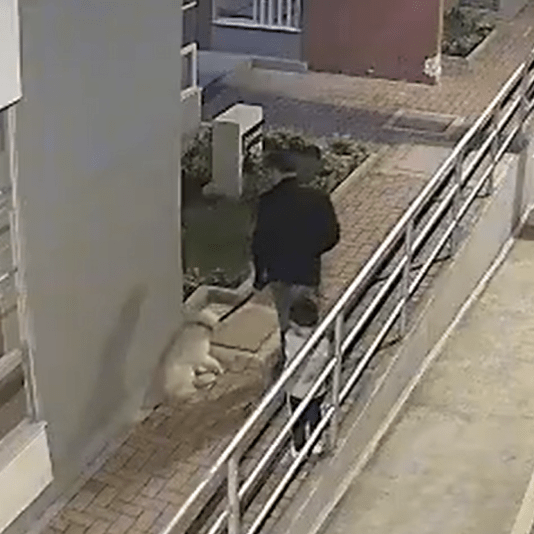 Hombre golpeó y maltrató a su perro frente a su hijo