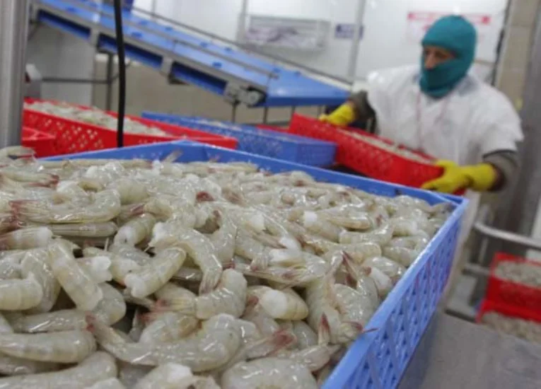 Ecuador tiene el arancel más bajo en la guerra comercial de EE UU