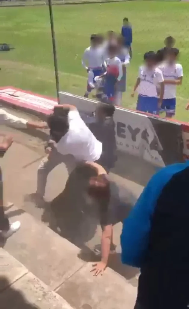 Los chicos, desde la cancha, veían comos sus padres se golpeaban