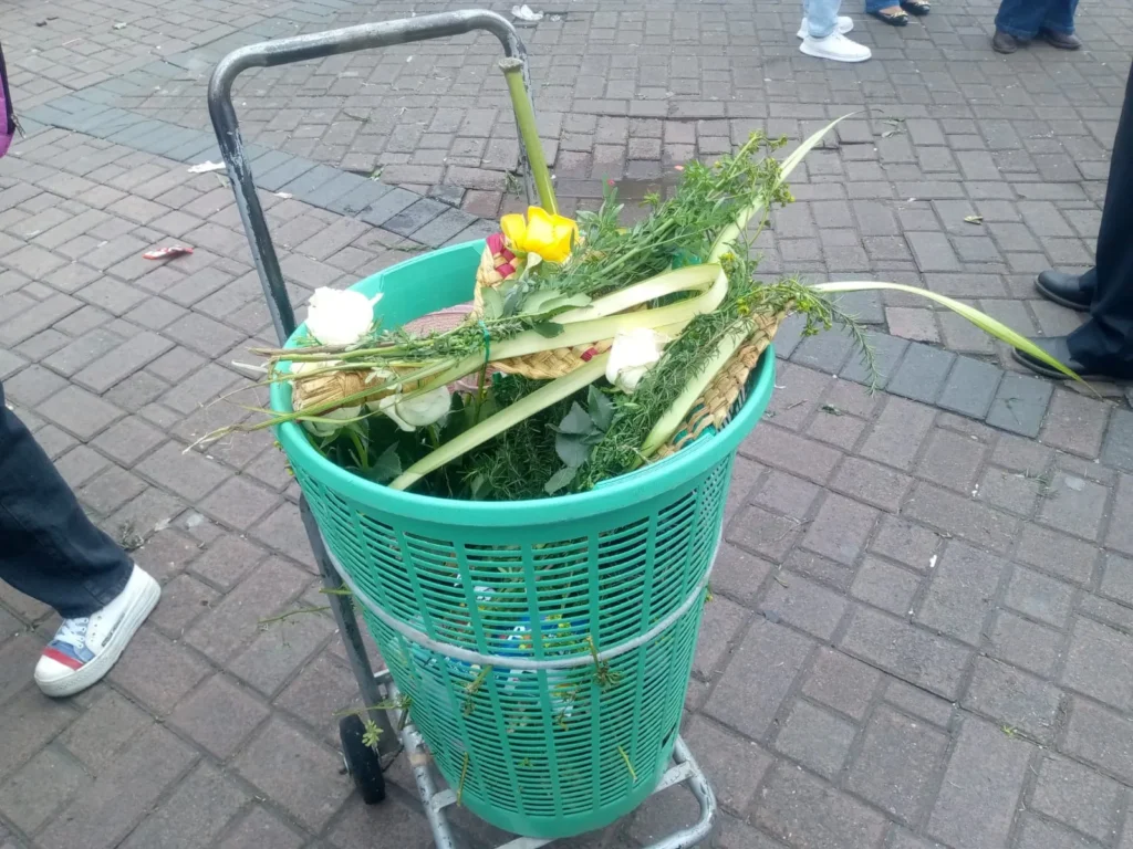 Venta libre de ramos de Palma de cera.