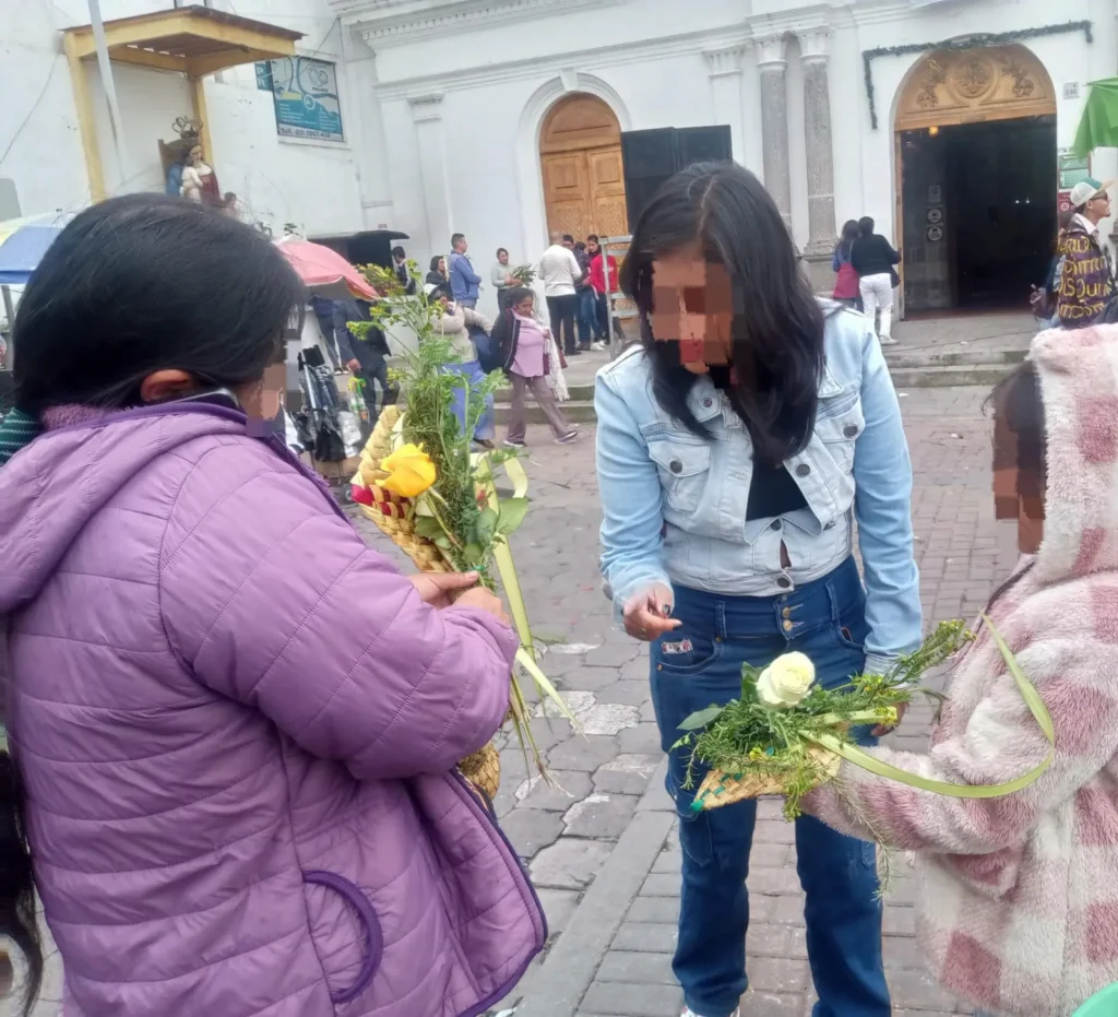 Latacunga: Palma de cera sin control de venta.