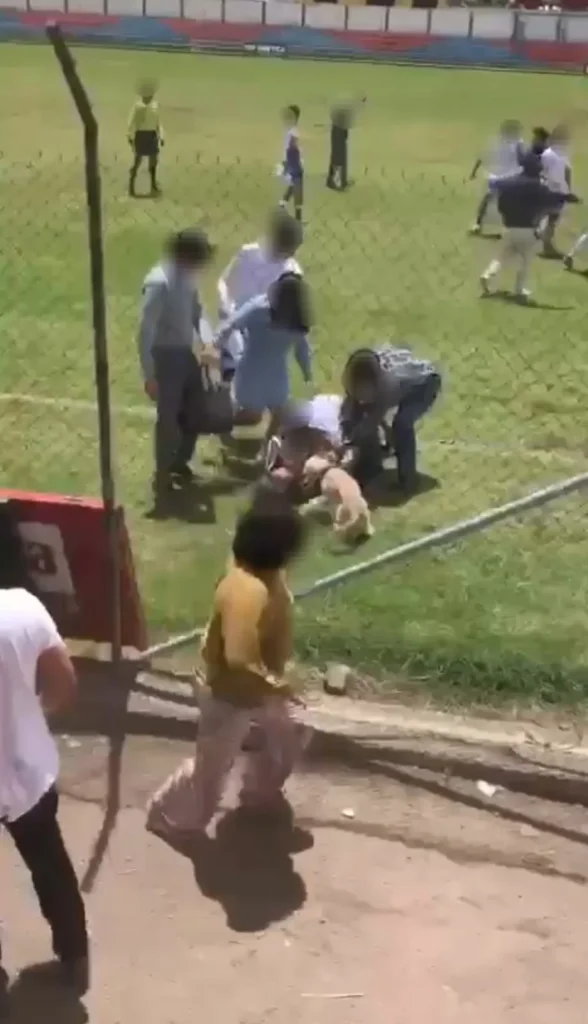 Peleas entre estudiantes, árbitros y padres de familia en 2 partidos de fútbol colegial en Riobamba. A una madre le fracturaron la nariz