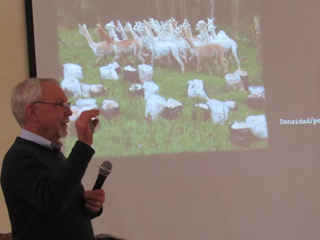 World Vision preserva el páramo con alpacas para cuidar el agua