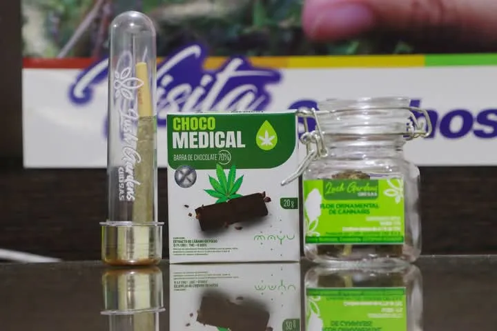 Cotopaxi impulsa cannabis no psicoactivo como motor desarrollo.