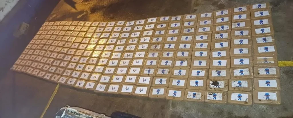 Policía decomisó 220 bloques de cocaína en Colta-Chimborazo
