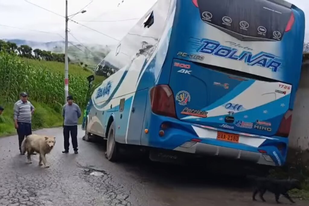 Bus encunetado en Ruta alterna de los Santos