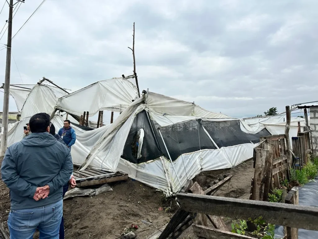 Daños en viviendas e invernaderos por fuertes lluvias.