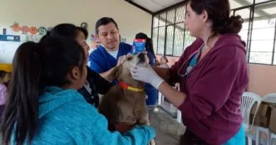Desparacitación gratuita en Riobamba