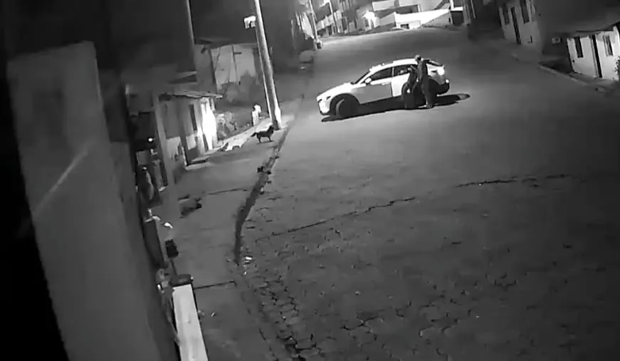 Roban computadora de un vehículo